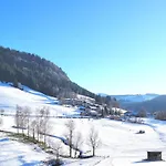 Bergfluegel Allgaeu, Schwimmbad, Sauna, Skilift Appartement *